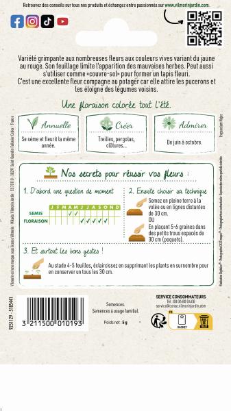 Fleurs - Capucine de Lobb Variée - MEDIA_PACKAGING_VERSO